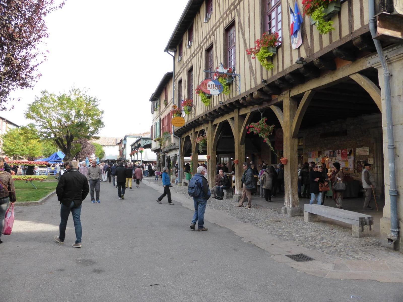 Gite De La Bastide - Typique De Mirepoix Mirepoix  Esterno foto